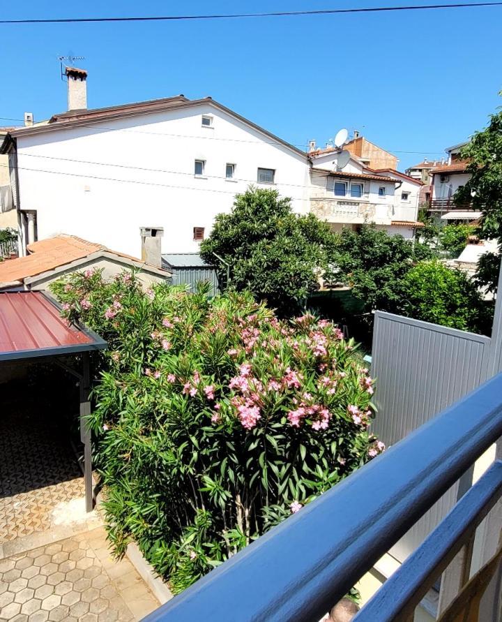 Apartmani Sojka Ровинь Экстерьер фото